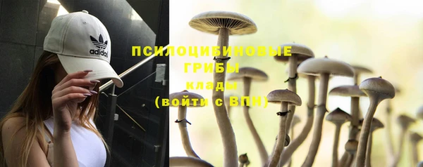 jwh Янаул