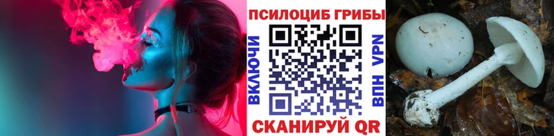 Псилоцибиновые грибы мухоморы  Электросталь 