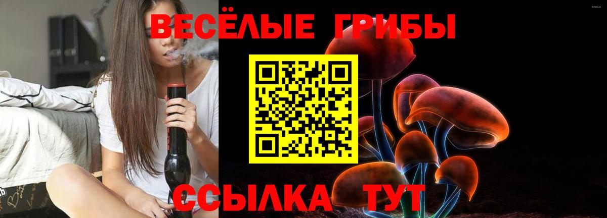 Галлюциногенные грибы Cubensis Электросталь